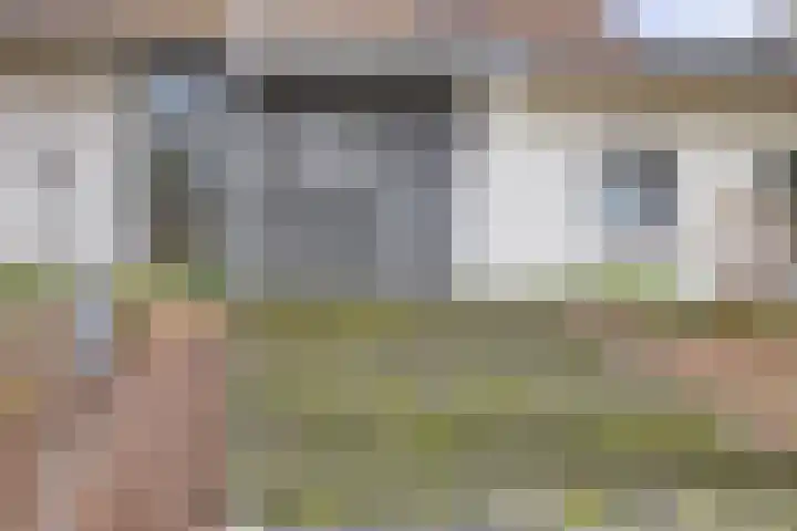 Daansbergen 8 Halsteren thumbnail 5