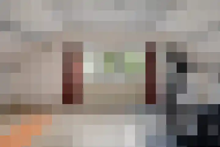 Daansbergen 8 Halsteren thumbnail 51