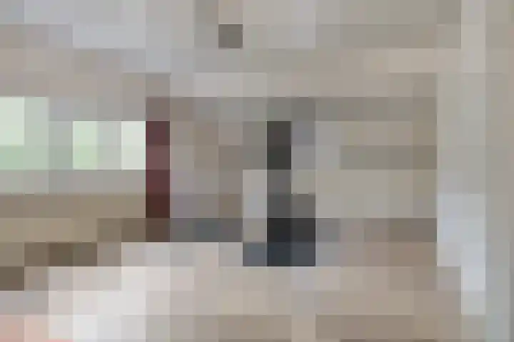 Daansbergen 8 Halsteren thumbnail 52