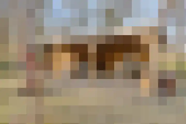 Daansbergen 8 Halsteren thumbnail 56