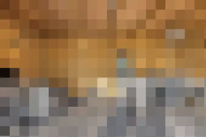 Daansbergen 8 Halsteren thumbnail 57