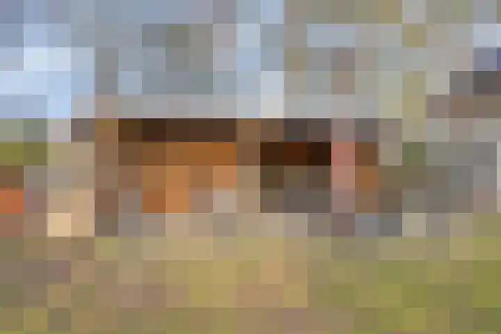 Daansbergen 8 Halsteren thumbnail 58