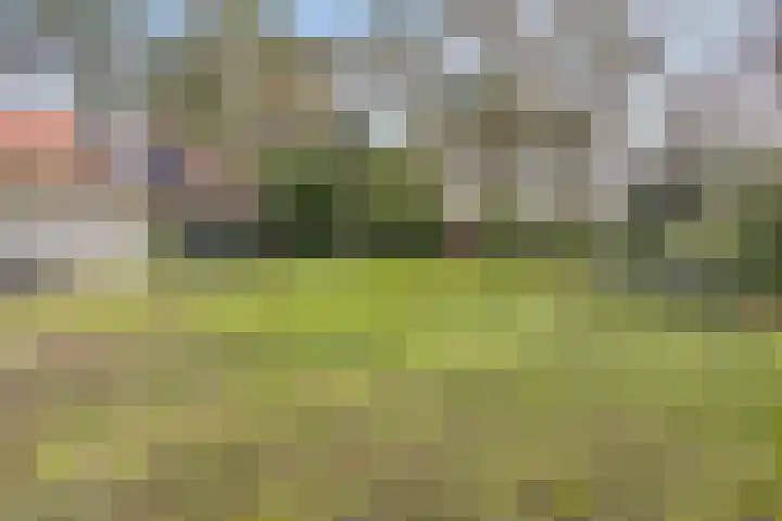 Daansbergen 8 Halsteren thumbnail 59