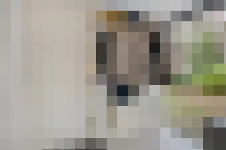 Daansbergen 8 Halsteren thumbnail 6