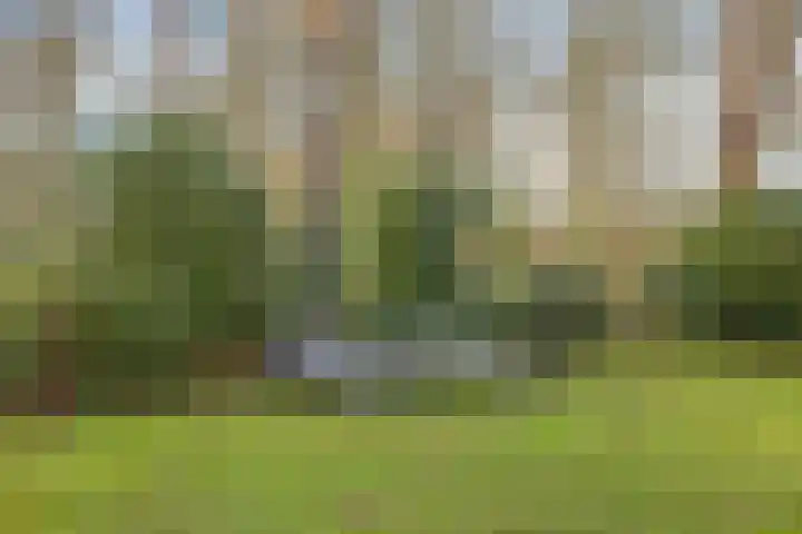 Daansbergen 8 Halsteren thumbnail 60