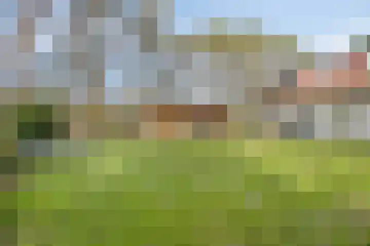 Daansbergen 8 Halsteren thumbnail 61