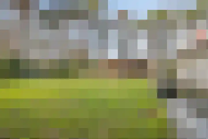 Daansbergen 8 Halsteren thumbnail 62