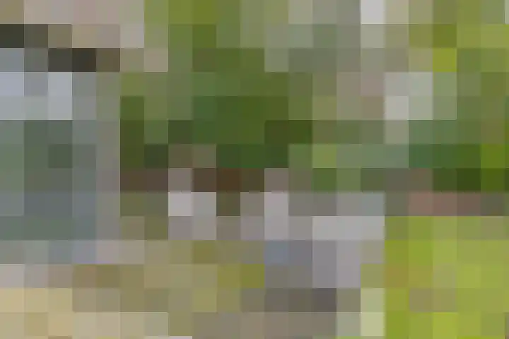 Daansbergen 8 Halsteren thumbnail 63