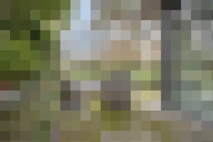 Daansbergen 8 Halsteren thumbnail 64