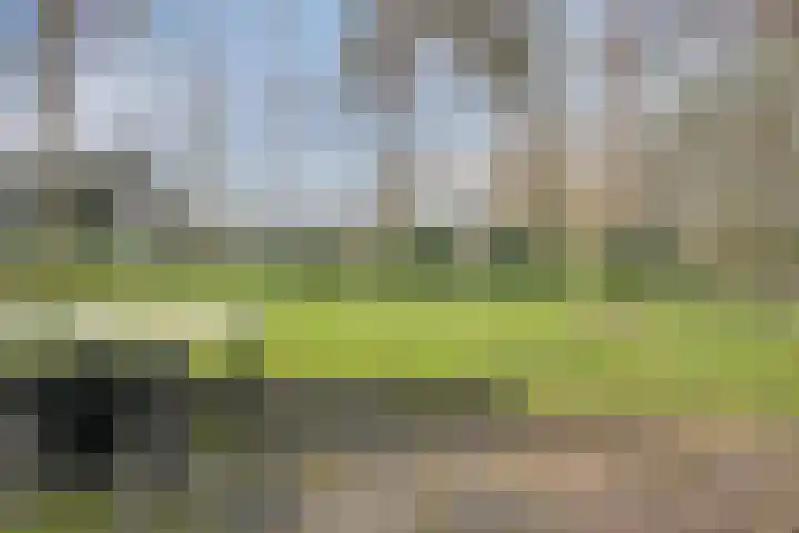 Daansbergen 8 Halsteren thumbnail 65