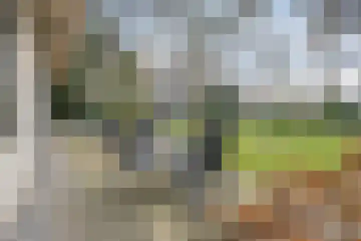 Daansbergen 8 Halsteren thumbnail 66