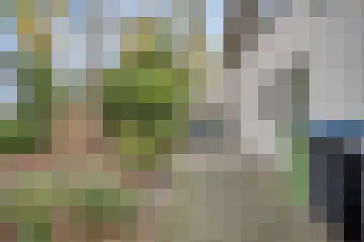 Daansbergen 8 Halsteren thumbnail 67