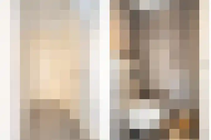 Daansbergen 8 Halsteren thumbnail 7