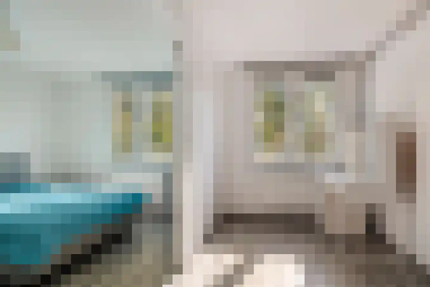 Daarleseweg 13 Den Ham thumbnail 12