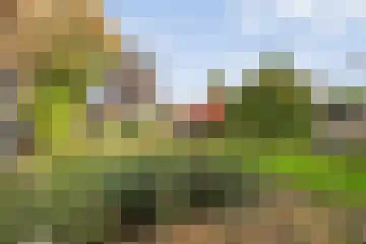 Daarleseweg 13 Den Ham thumbnail 31