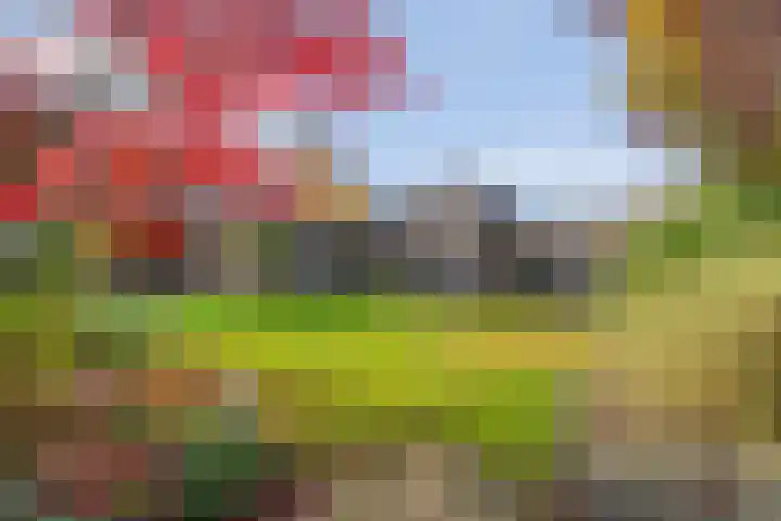 Daarleseweg 13 Den Ham thumbnail 32