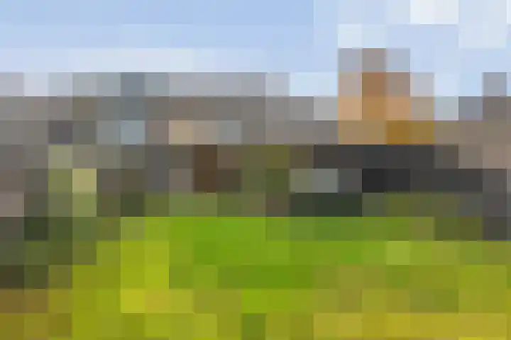 Daarleseweg 13 Den Ham thumbnail 33