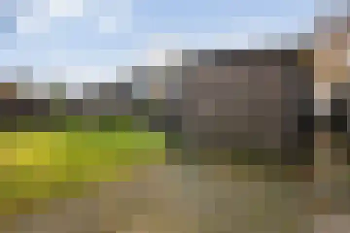 Daarleseweg 13 Den Ham thumbnail 34