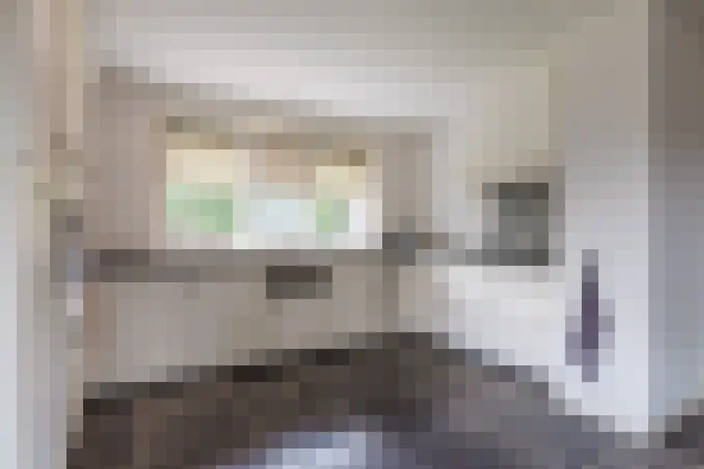 Daarleseweg 22 a Den Ham thumbnail 15