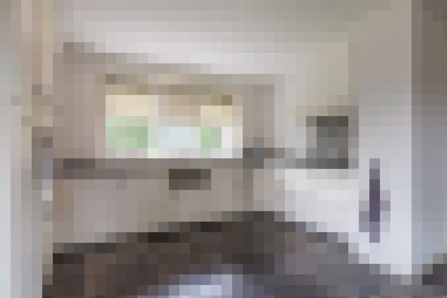 Daarleseweg 22 a Den Ham thumbnail 15