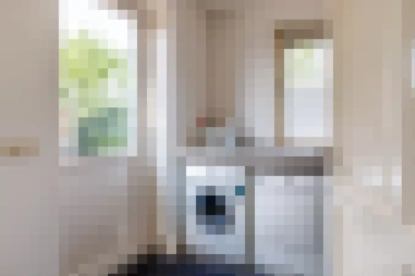 Daarleseweg 22 a Den Ham thumbnail 17