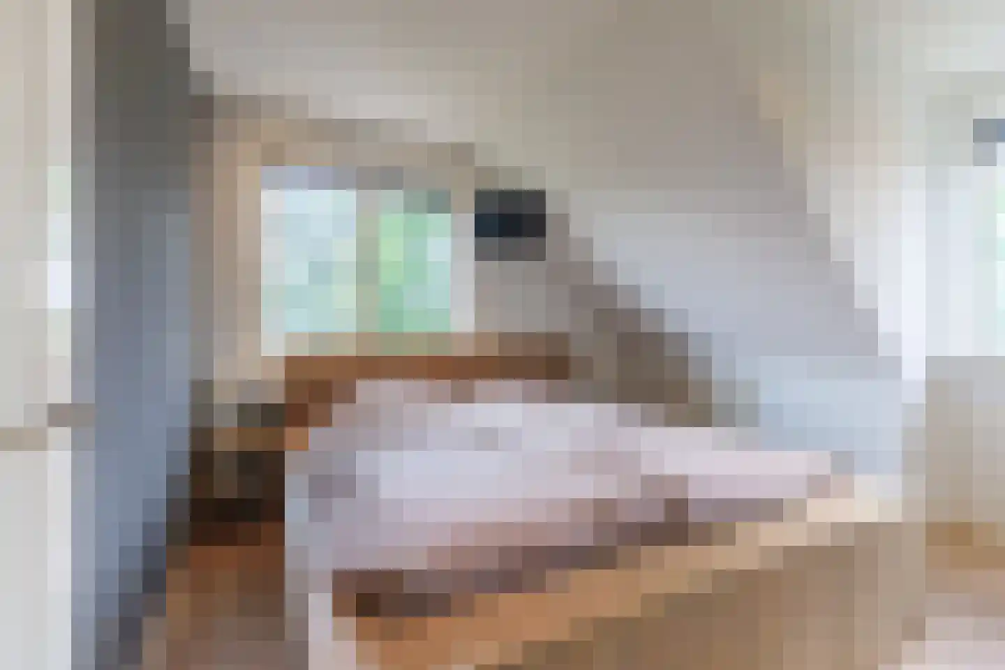 Daarleseweg 22 a Den Ham thumbnail 22