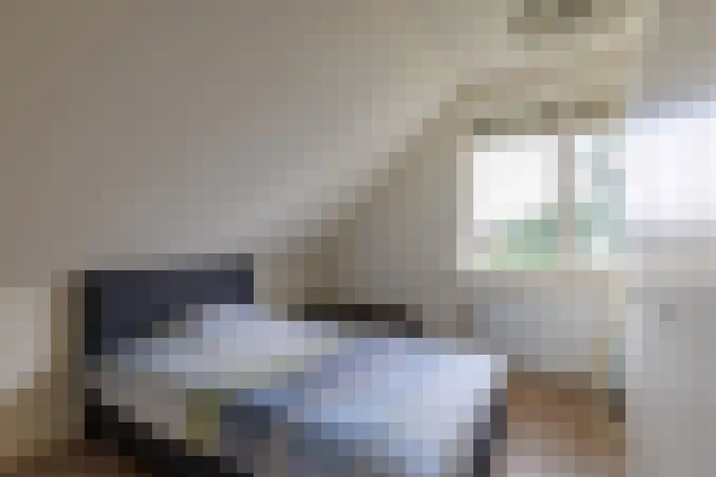 Daarleseweg 22 a Den Ham thumbnail 23