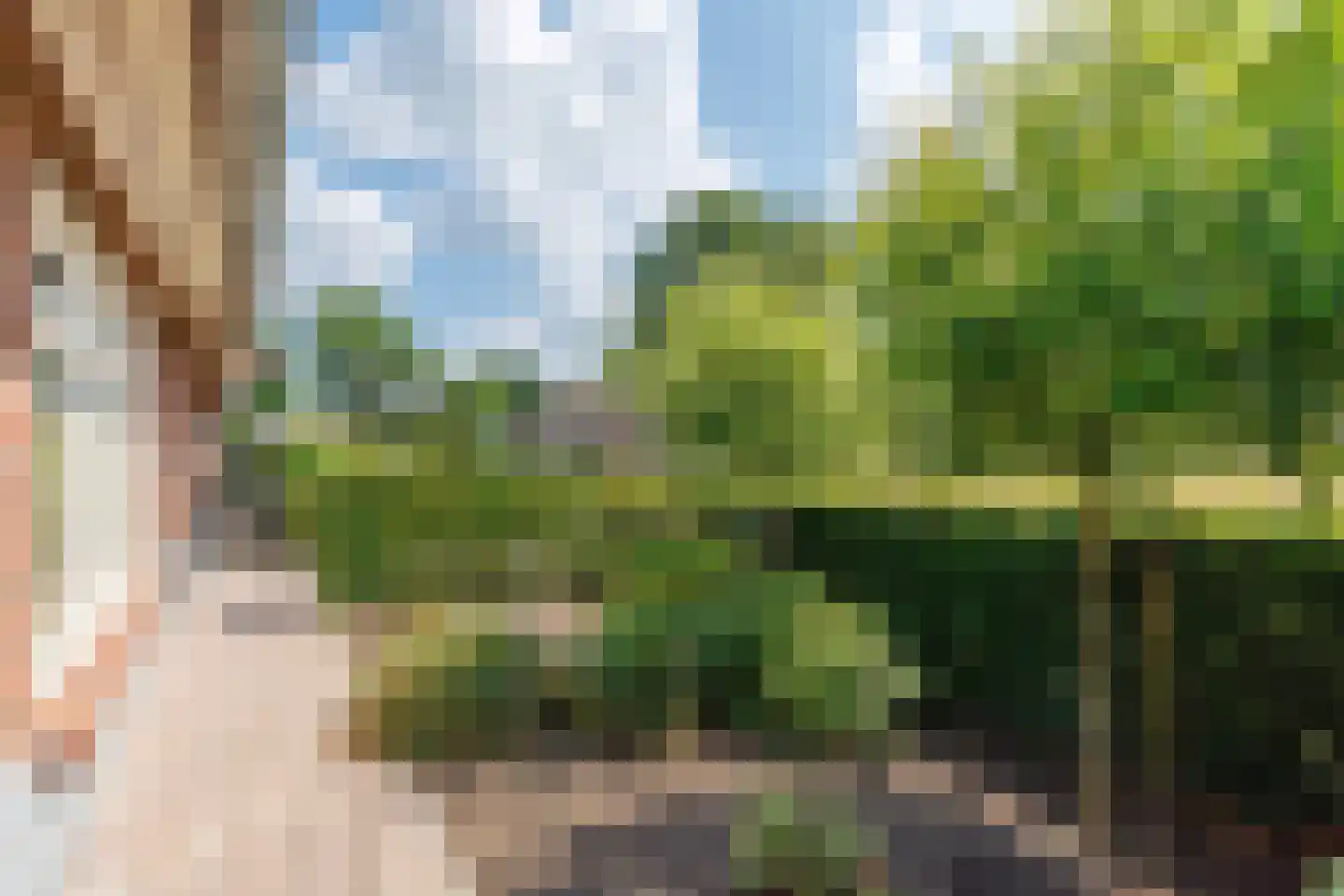 Daarleseweg 22 a Den Ham thumbnail 27