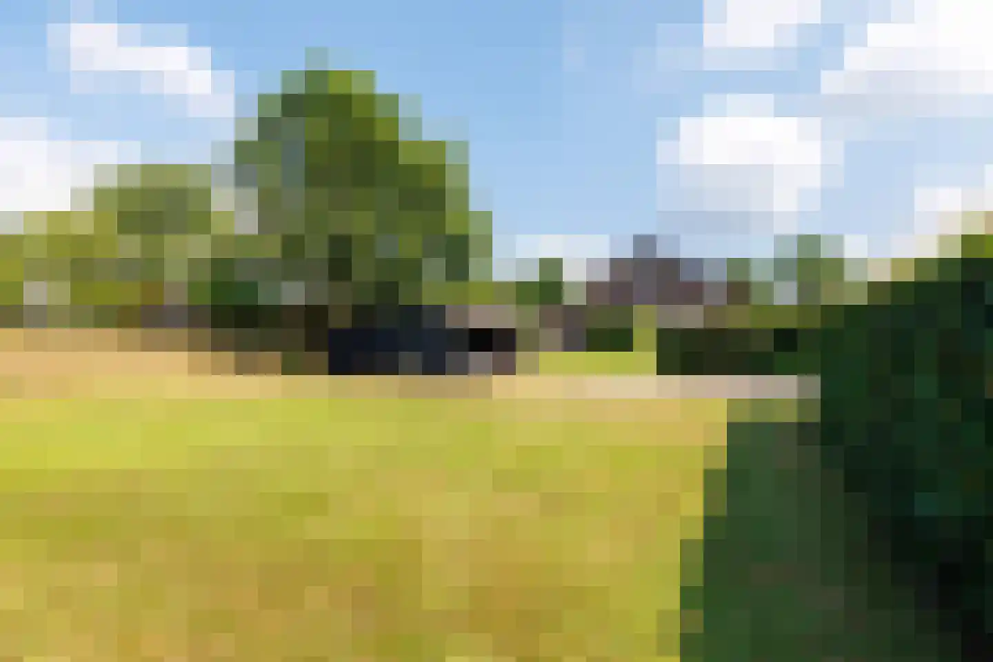 Daarleseweg 22 a Den Ham thumbnail 32