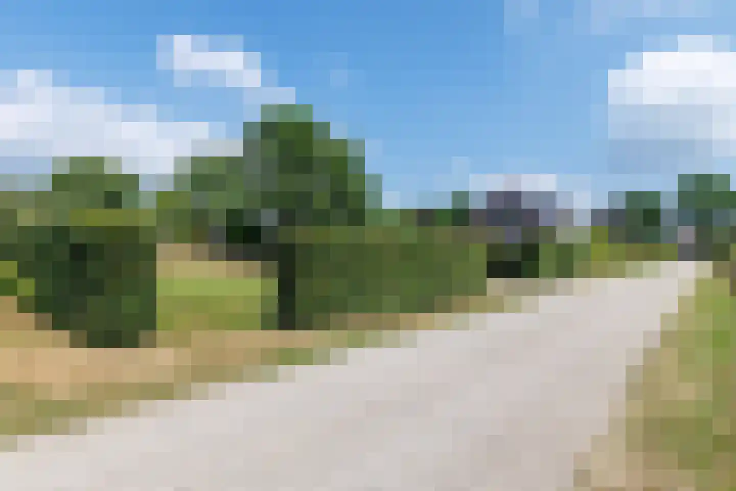 Daarleseweg 22 a Den Ham thumbnail 34
