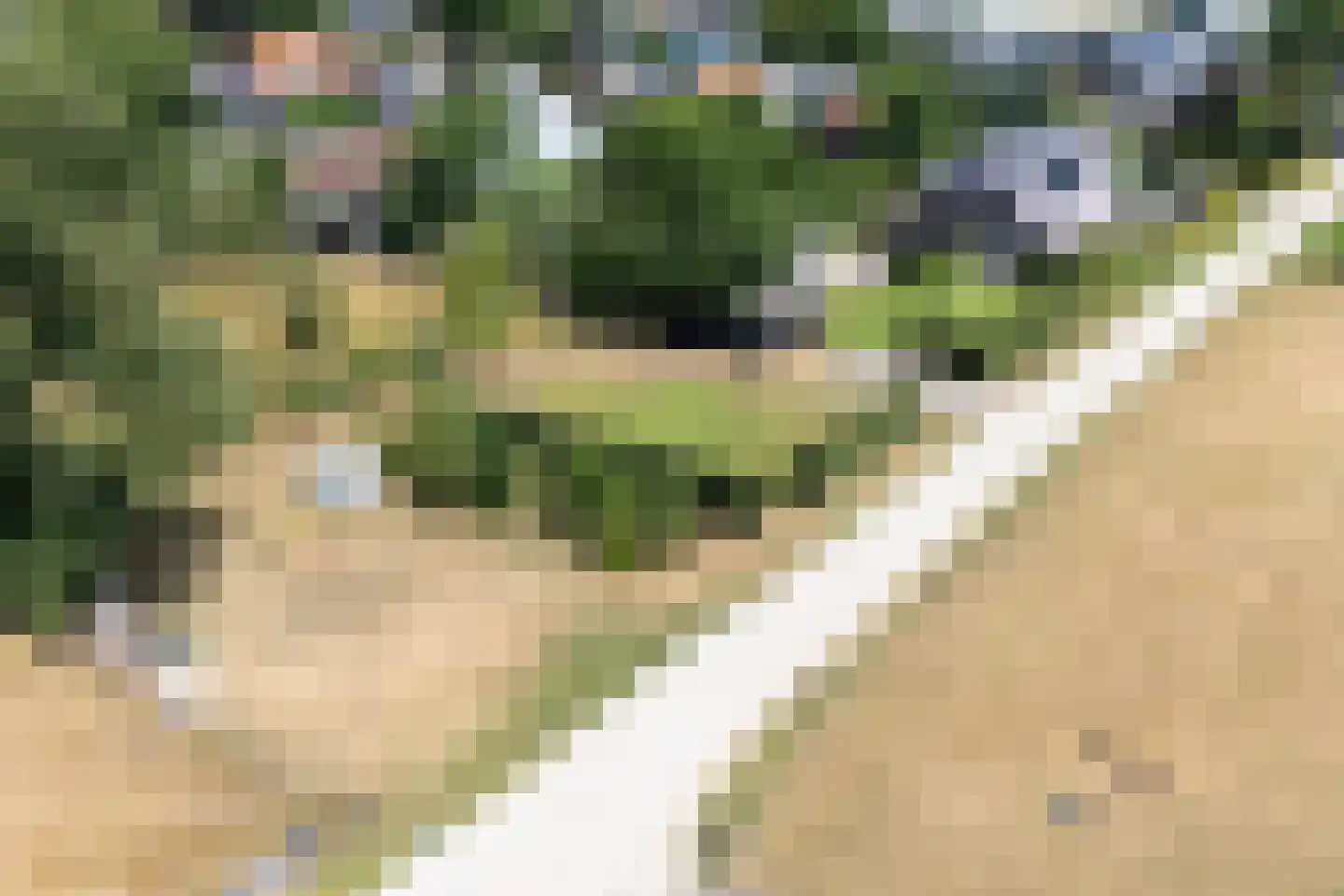Daarleseweg 22 a Den Ham thumbnail 37
