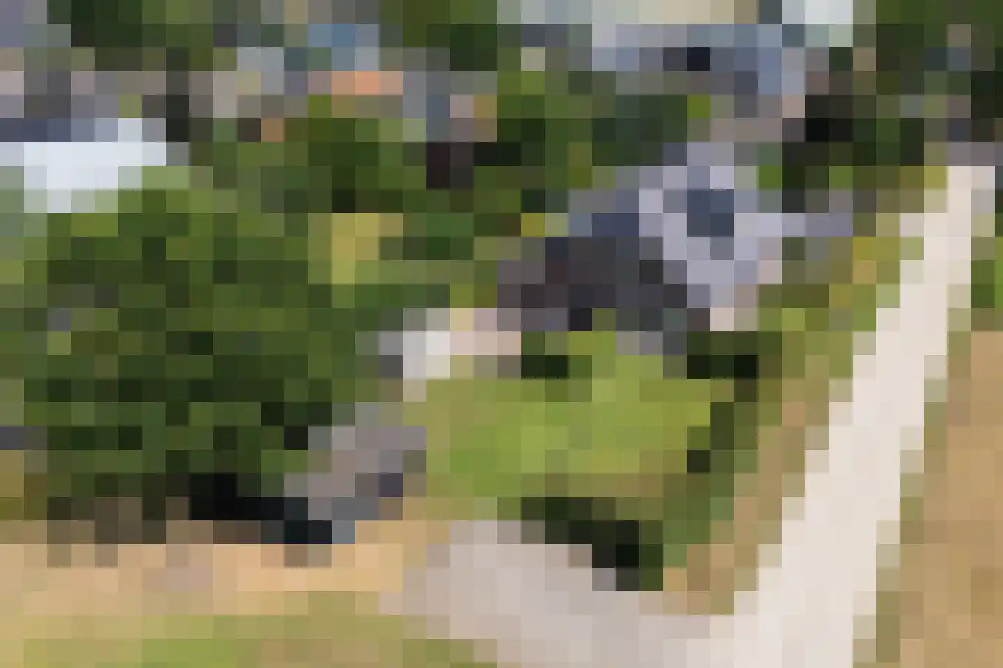 Daarleseweg 22 a Den Ham thumbnail 4