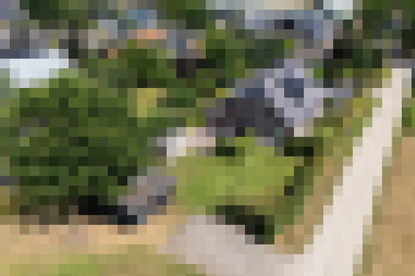 Daarleseweg 22 a Den Ham thumbnail 4