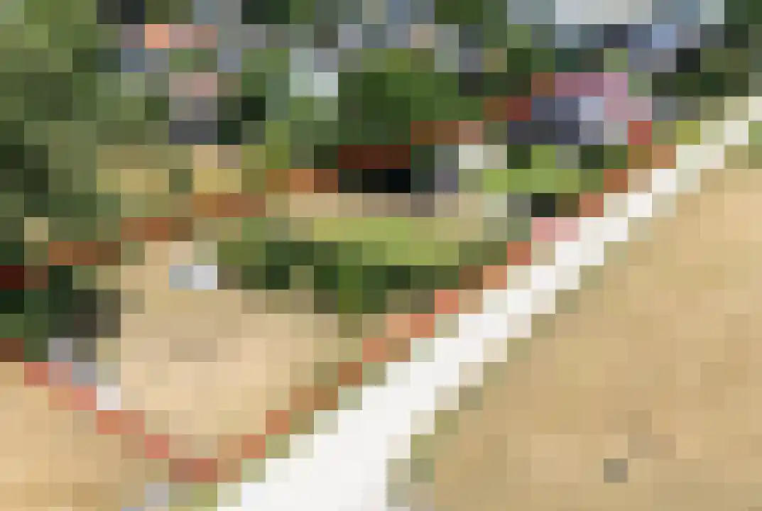 Daarleseweg 22 a Den Ham thumbnail 40
