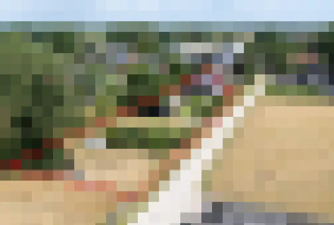 Daarleseweg 22 a Den Ham thumbnail 5