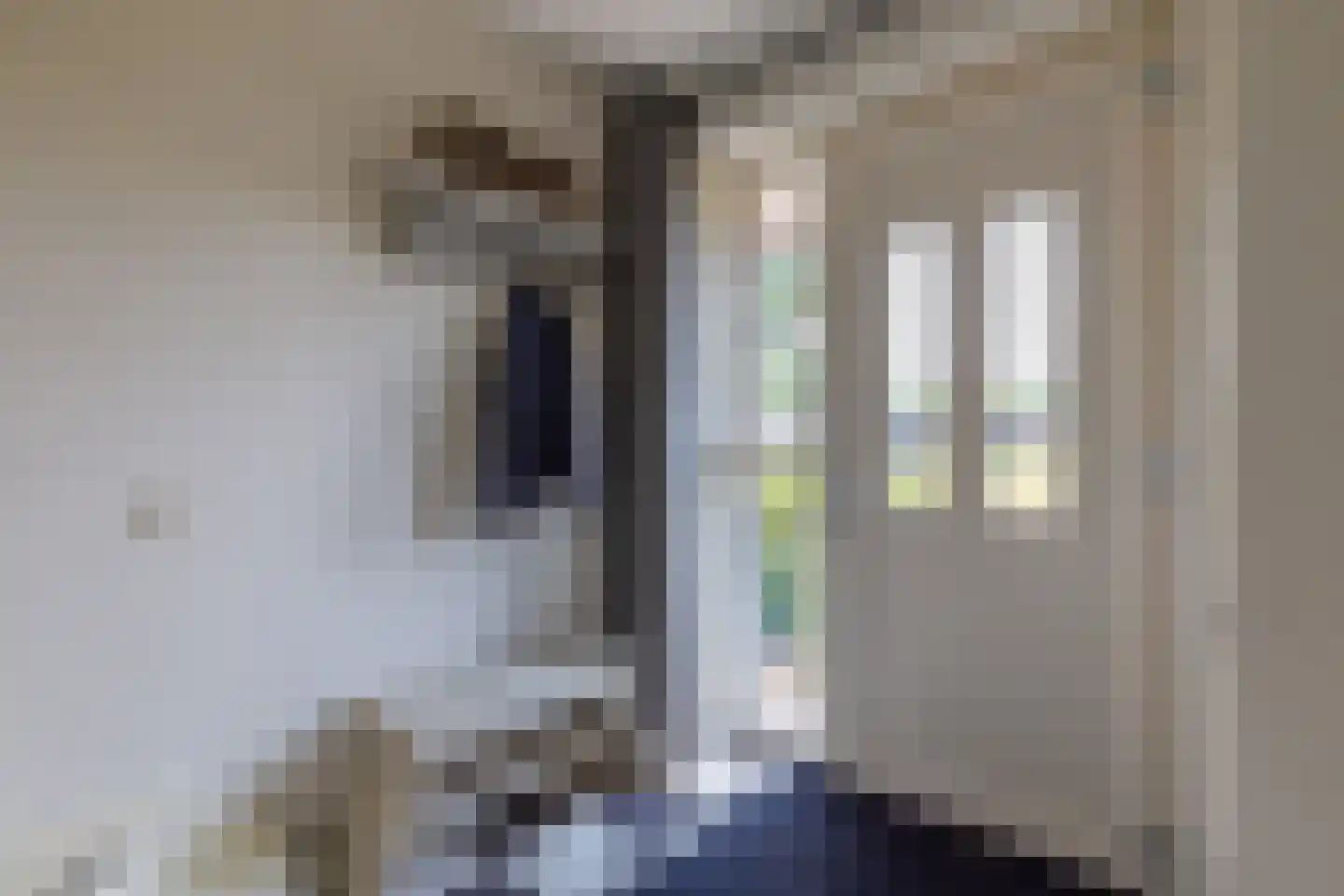 Daarleseweg 22 a Den Ham thumbnail 6