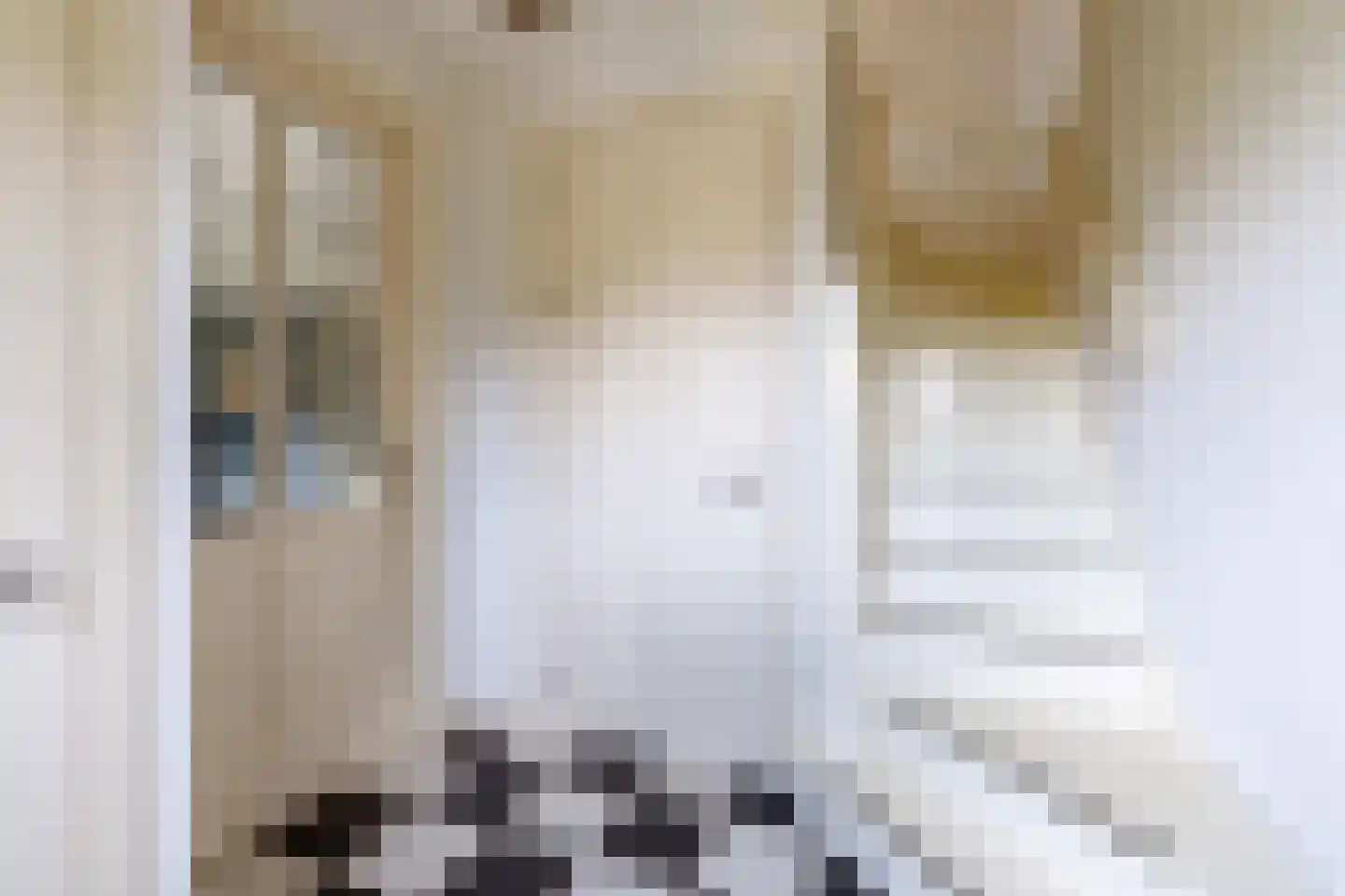 Daarleseweg 22 a Den Ham thumbnail 7