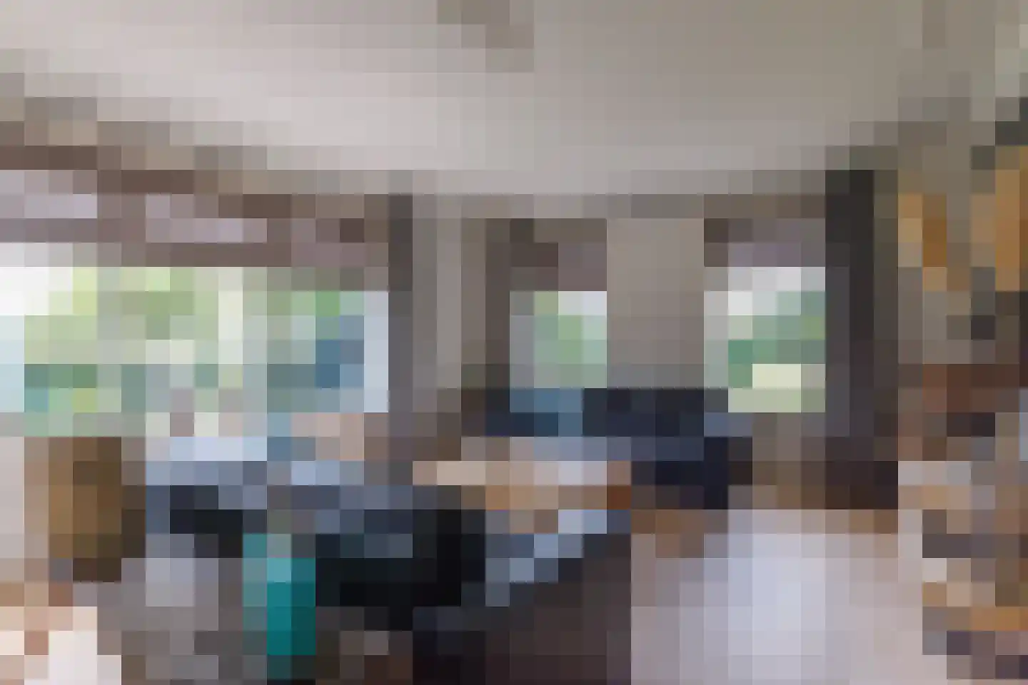 Daarleseweg 22 a Den Ham thumbnail 8