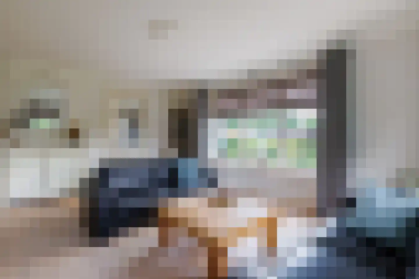 Daarleseweg 22 a Den Ham thumbnail 9