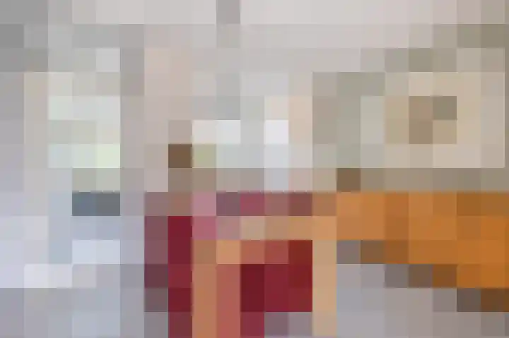 Dabbestraat 24 Oude-Tonge thumbnail 10