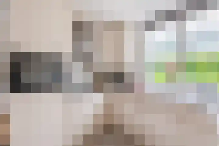 Dabbestraat 24 Oude-Tonge thumbnail 14