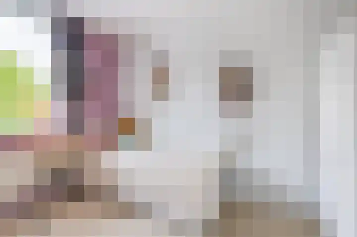 Dabbestraat 24 Oude-Tonge thumbnail 20
