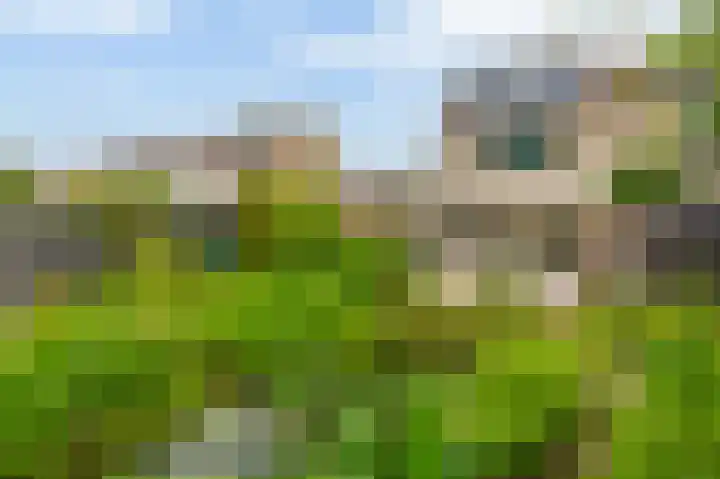 Dabbestraat 24 Oude-Tonge thumbnail 37