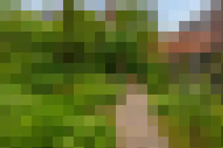 Dabbestraat 24 Oude-Tonge thumbnail 38