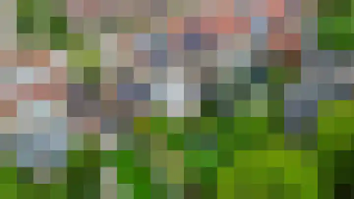 Dabbestraat 24 Oude-Tonge thumbnail 41