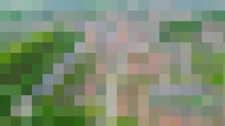 Dabbestraat 24 Oude-Tonge thumbnail 47