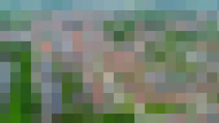 Dabbestraat 24 Oude-Tonge thumbnail 48