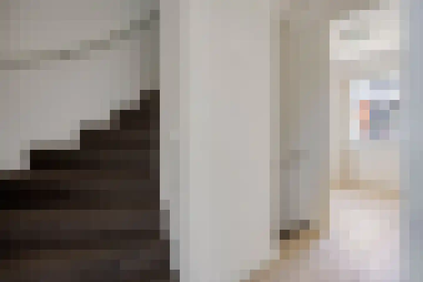 Dabbestraat 96 Oude-Tonge thumbnail 9