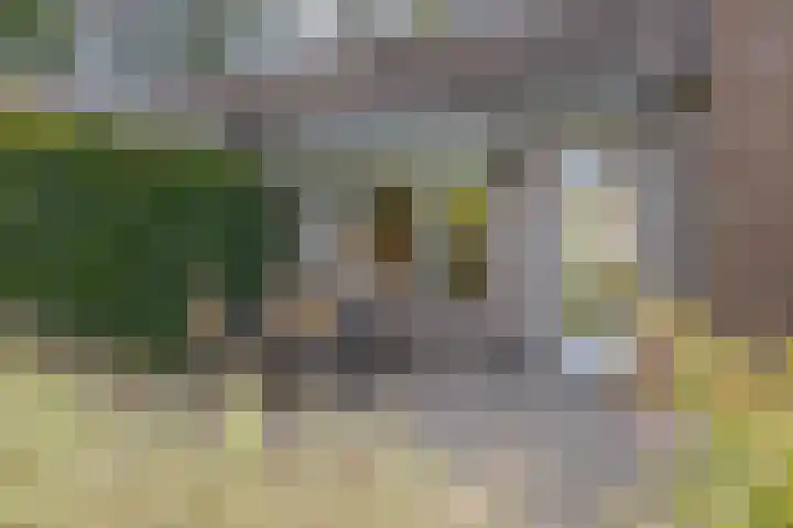 Dadelberg 17 Roosendaal thumbnail 37