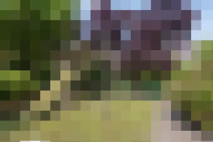 Dadelberg 17 Roosendaal thumbnail 39